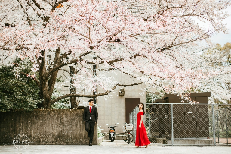 japan prewedding tuko bali pixtura 1
