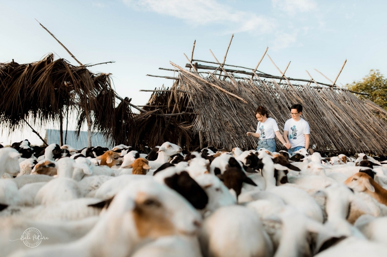 sumba prewedding bali pixtura 1