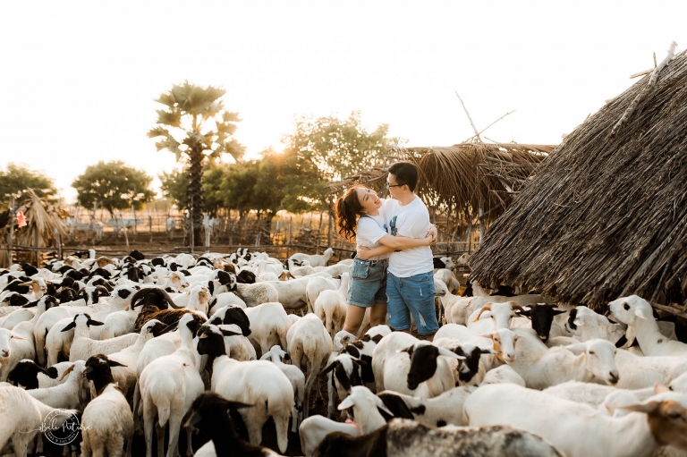 sumba prewedding bali pixtura 3
