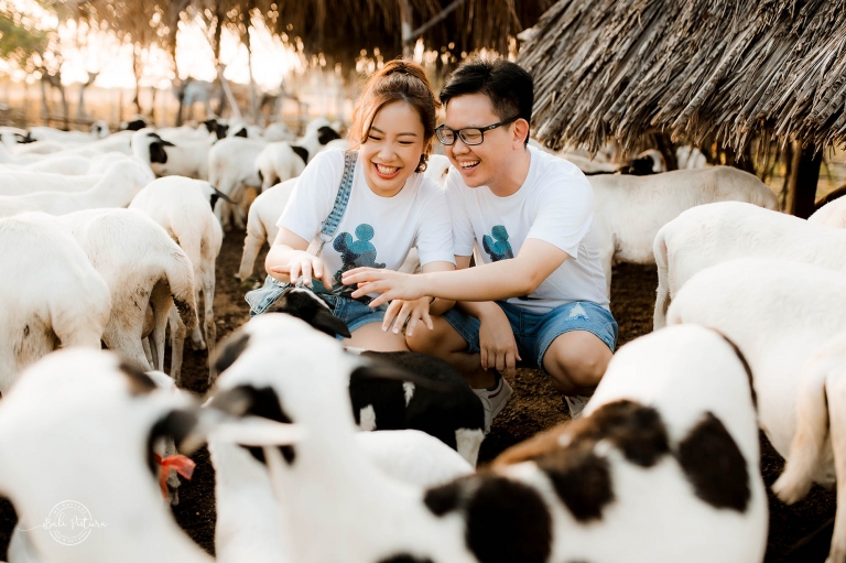 sumba prewedding bali pixtura 4