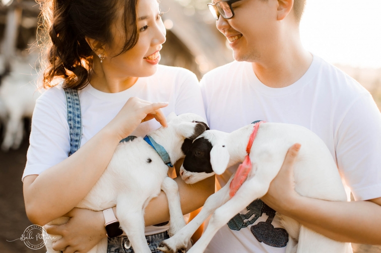 sumba prewedding bali pixtura 5